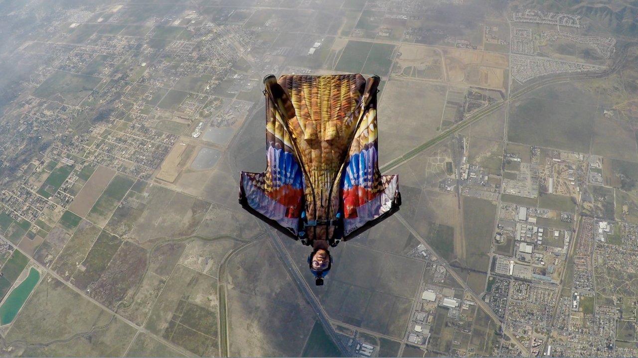 Wingsuit Bird